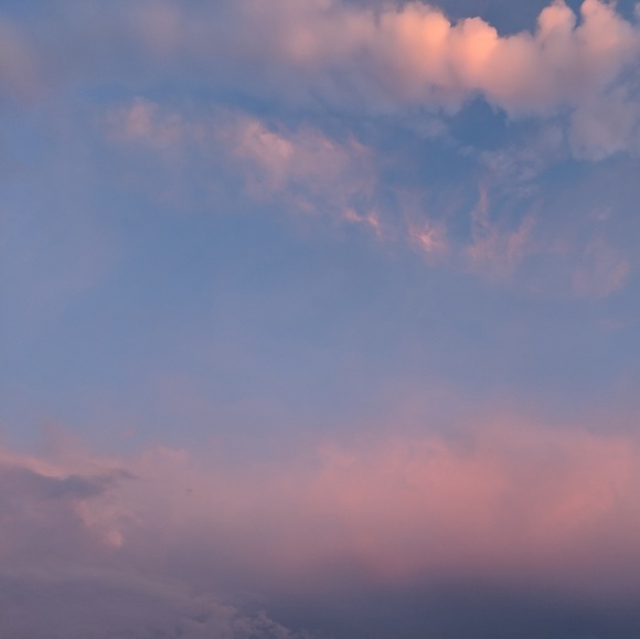 Meet your Posher, Revonda - Picture 2 of 2